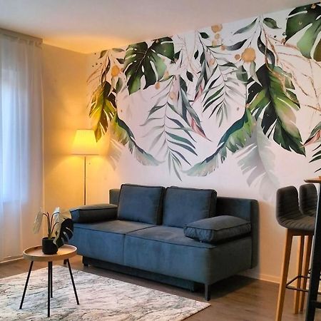 דירות סאן לואיס King Bed 4 People Near Basel, Switzerland, Weil Am Rhein, Loerrach, Germ'Any, Near Airport מראה חיצוני תמונה